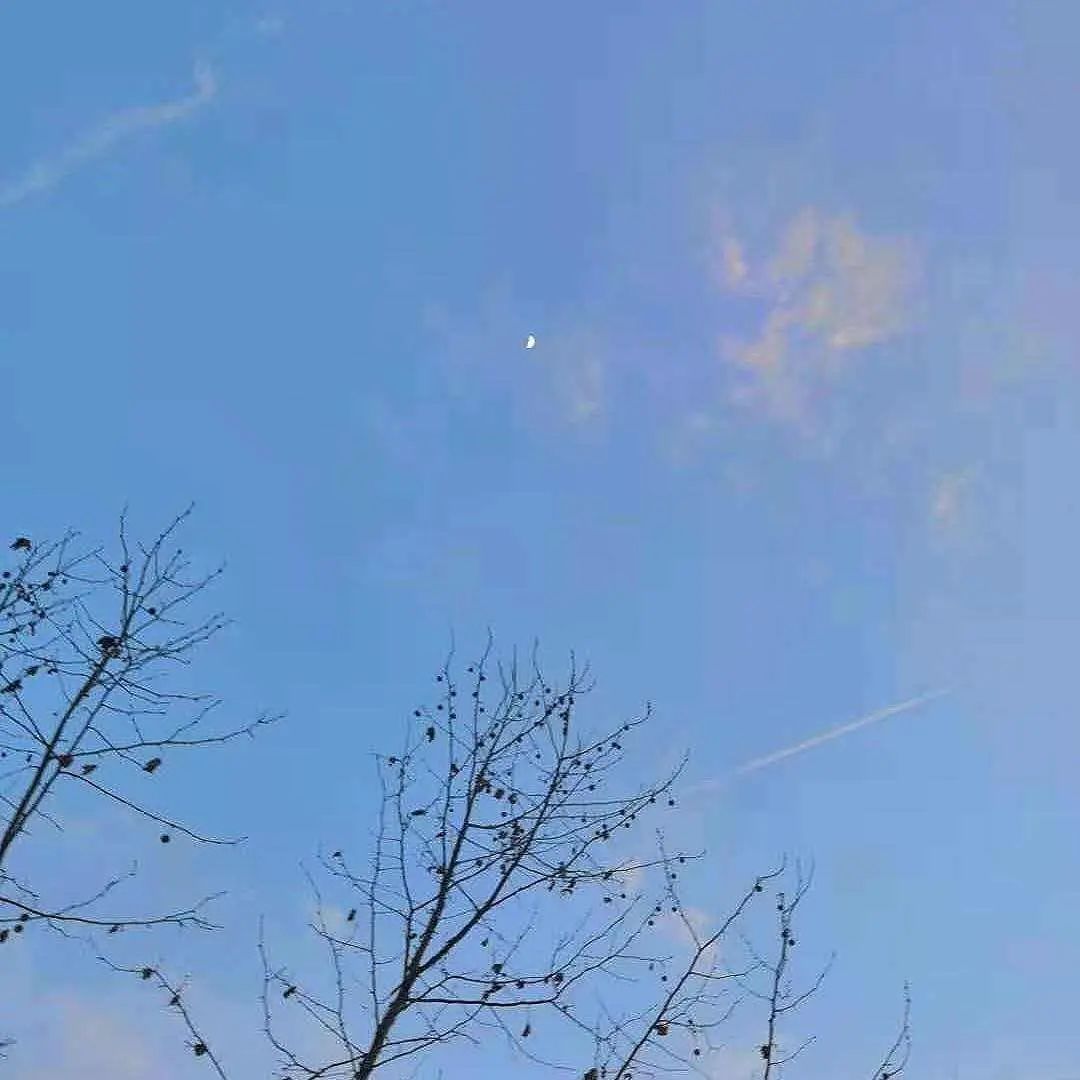 枯木逢春《这一生关于你的风景》365亚洲体育投注谱_C调四线谱_闲识音学社